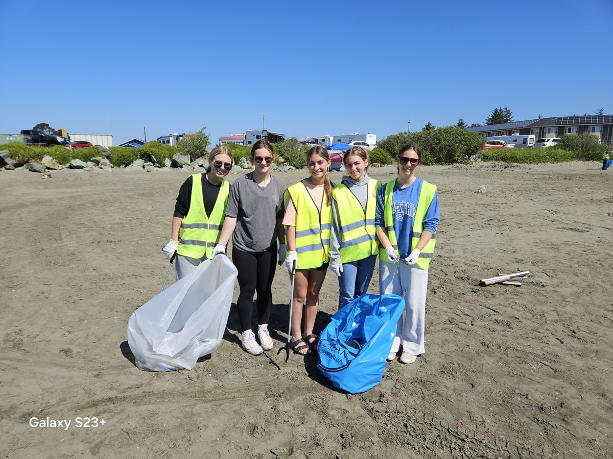 Teamwork Cleans the Beach