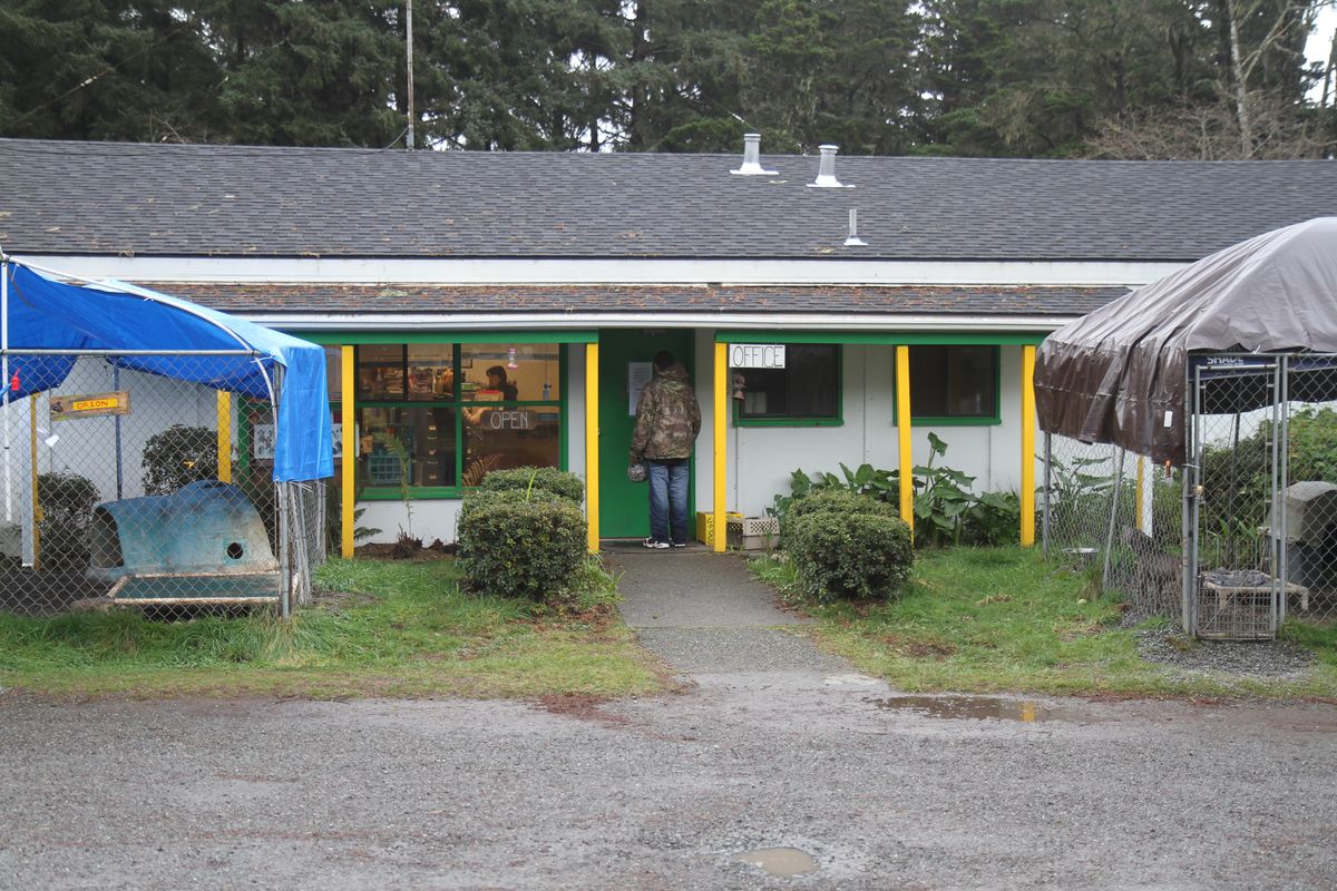 Parasite plagues Del Norte animal shelter