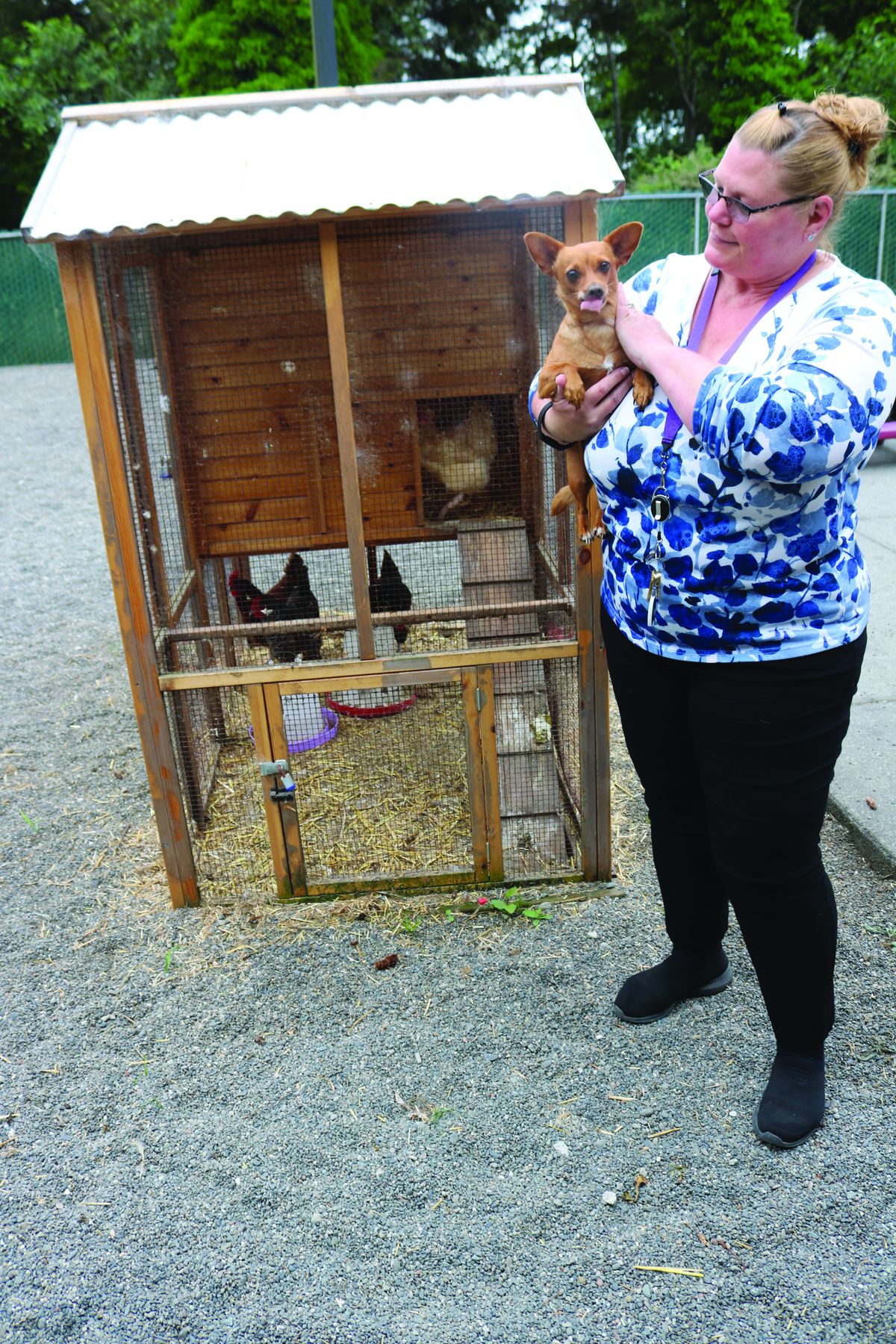 Women’s shelter opens doors to pets