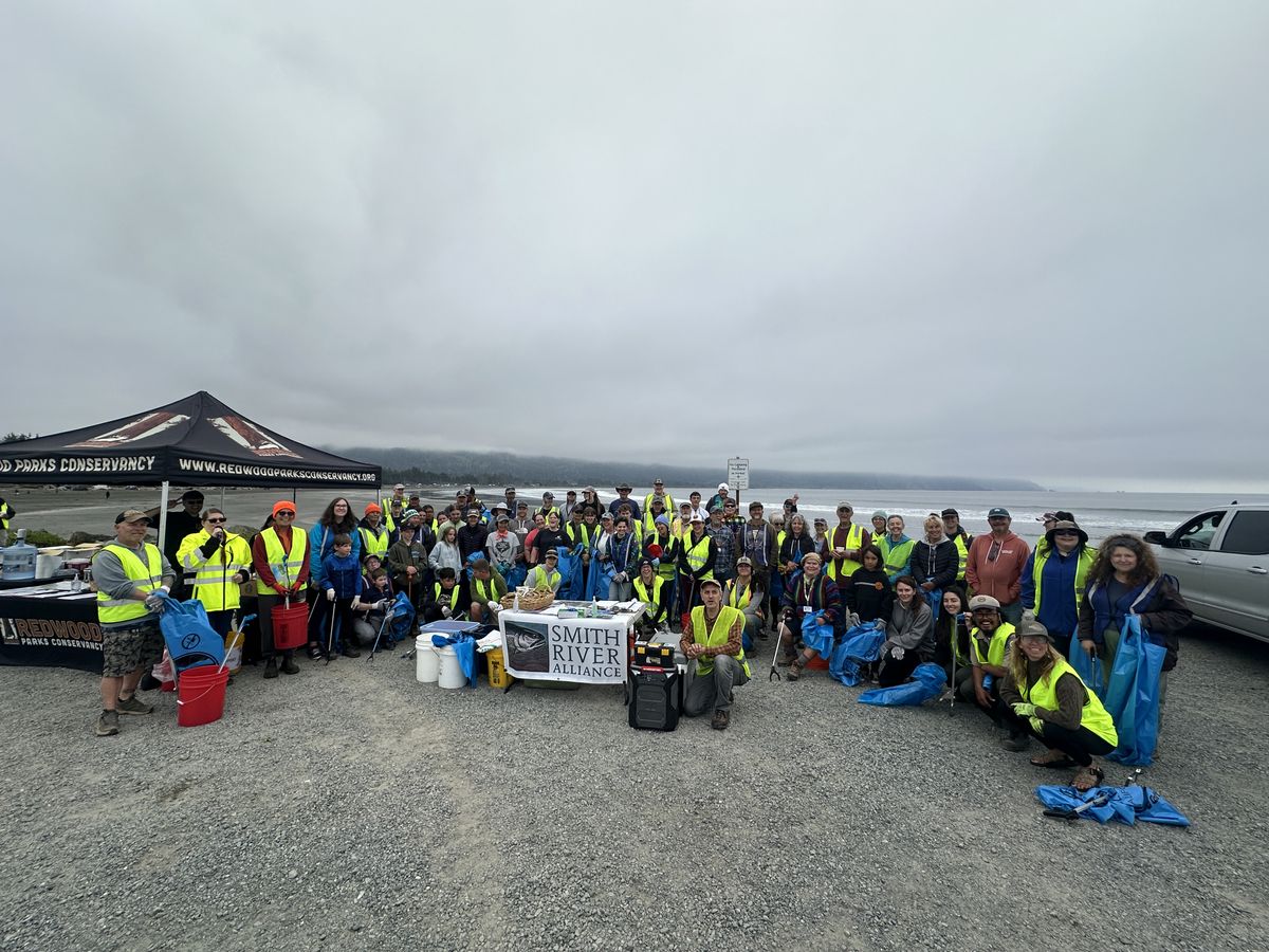 Clean Up Volunteers Making a Huge Difference