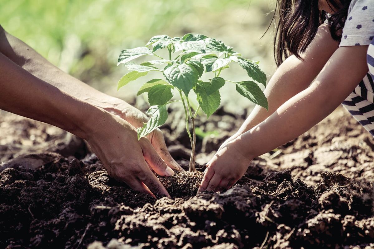 Column: Late winter, early spring gardening challenges