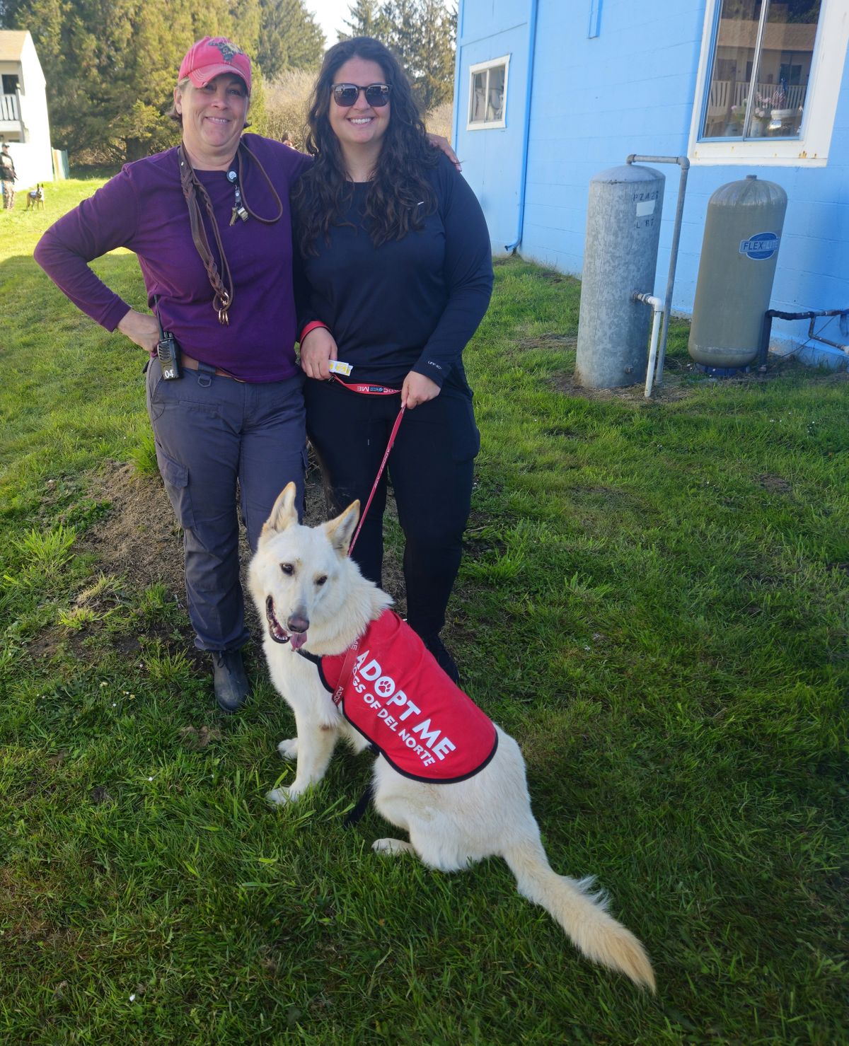Man’s Best Friend Adoption Day at Bayside