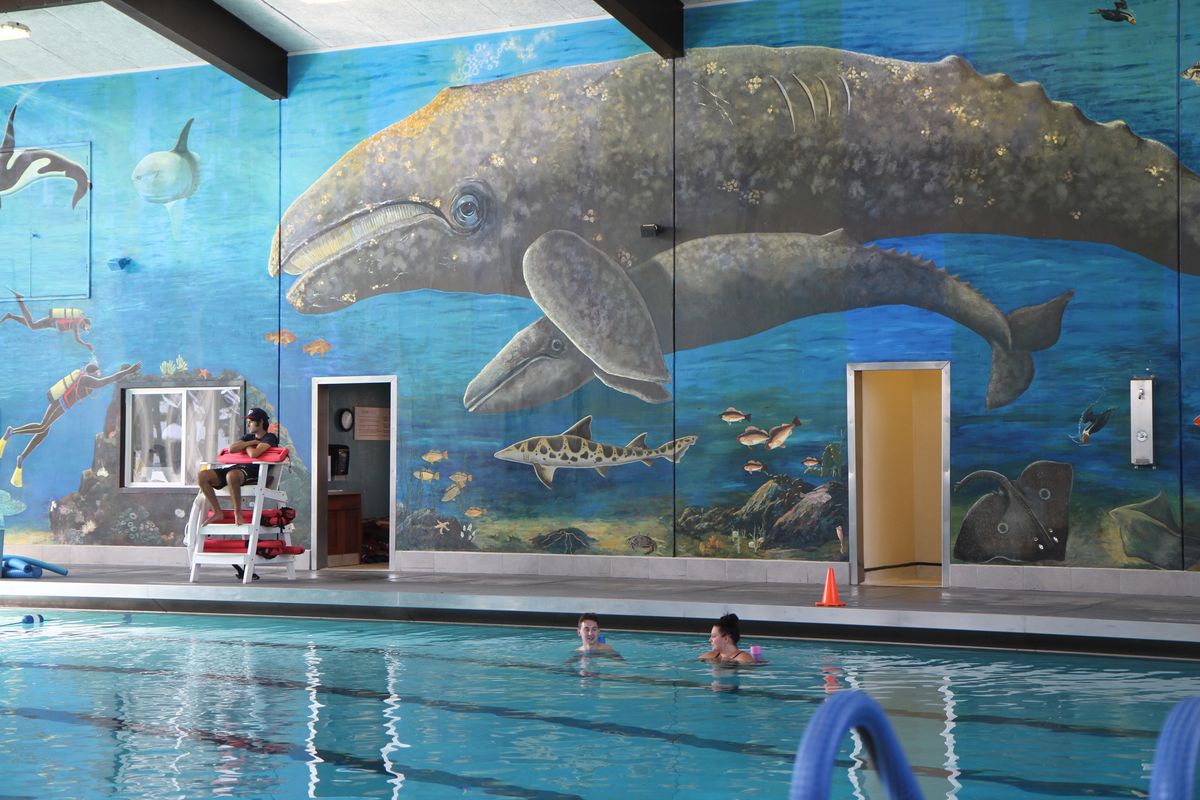 New rec director oversees popular, and expensive, city pool