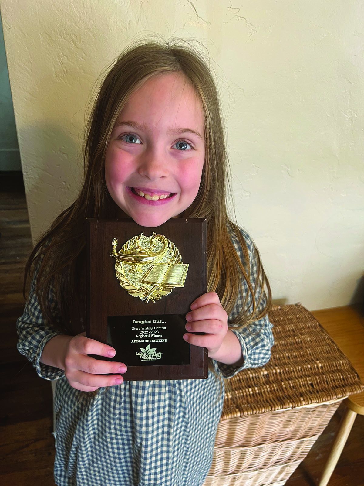 Hawkins wins Imagine This Story contest