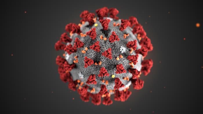 Pandemic Fraud: Scam alert