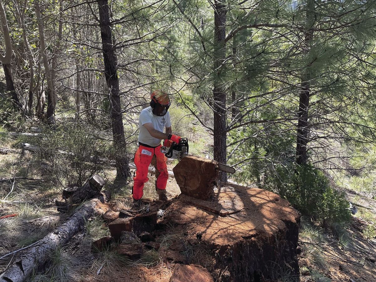 Western Cascades landscapes in Oregon historically burned more often than previously thought