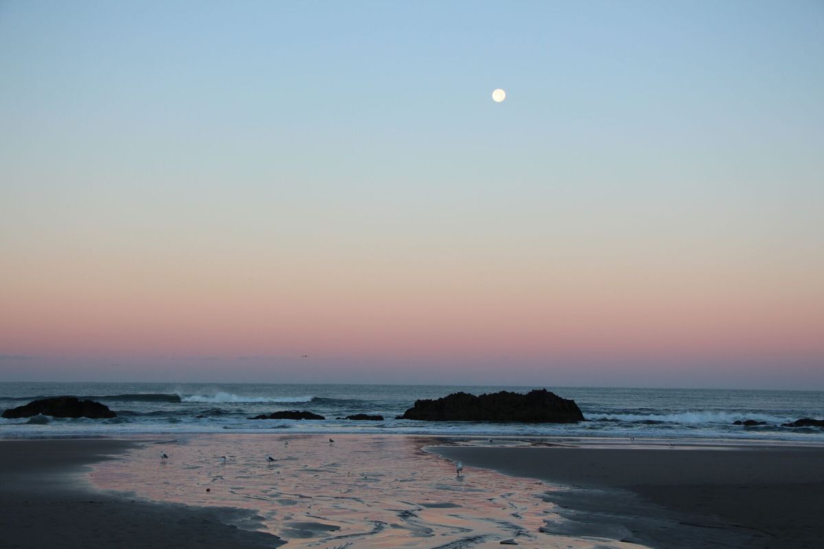 Oregon Marine Reserves: Coast visitors survey concerning climate change impact