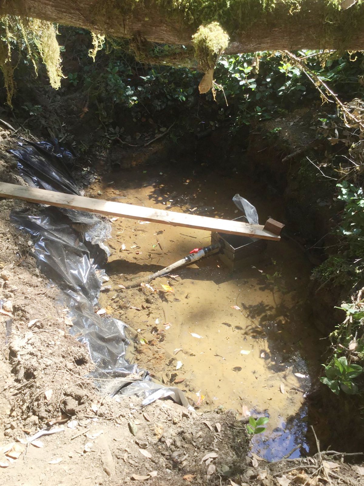 Illegal cannabis investigation turns up weapons, environmental damage in Smith River watershed
