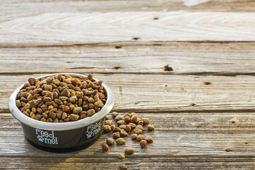 Dogs’ food pantry needs urgent help