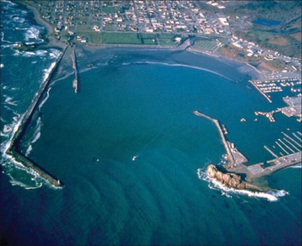 Harbor is awarded two significant grants