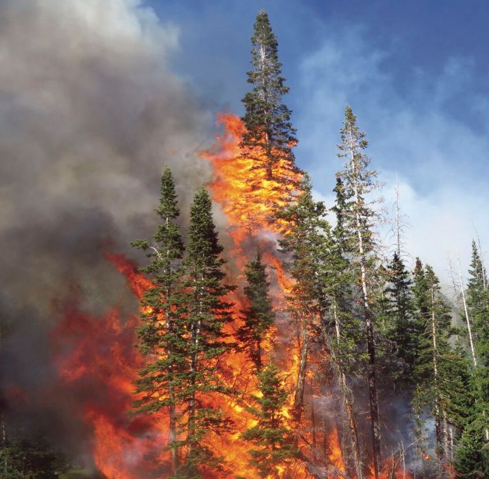 Wyden, Merkley applaud passage of critical wildfire prevention and response measure