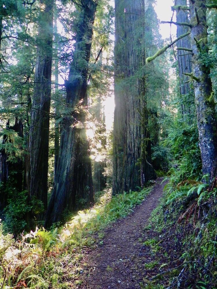 Proposed new national park trail open for public comment