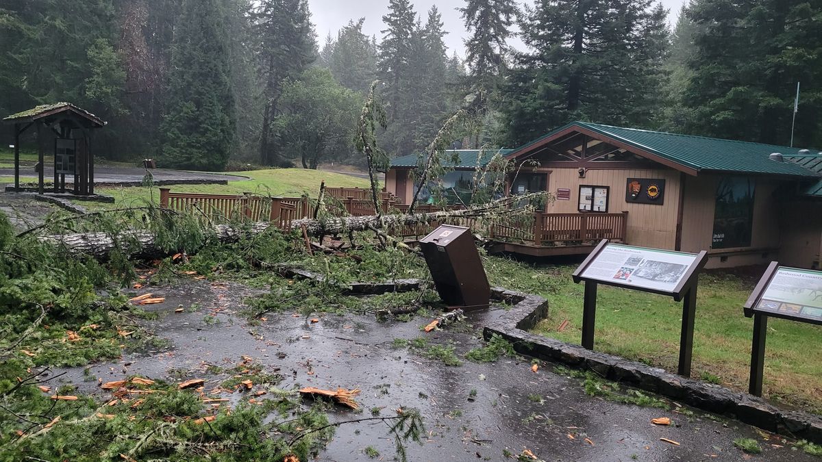 Storms continue to bring damage to region