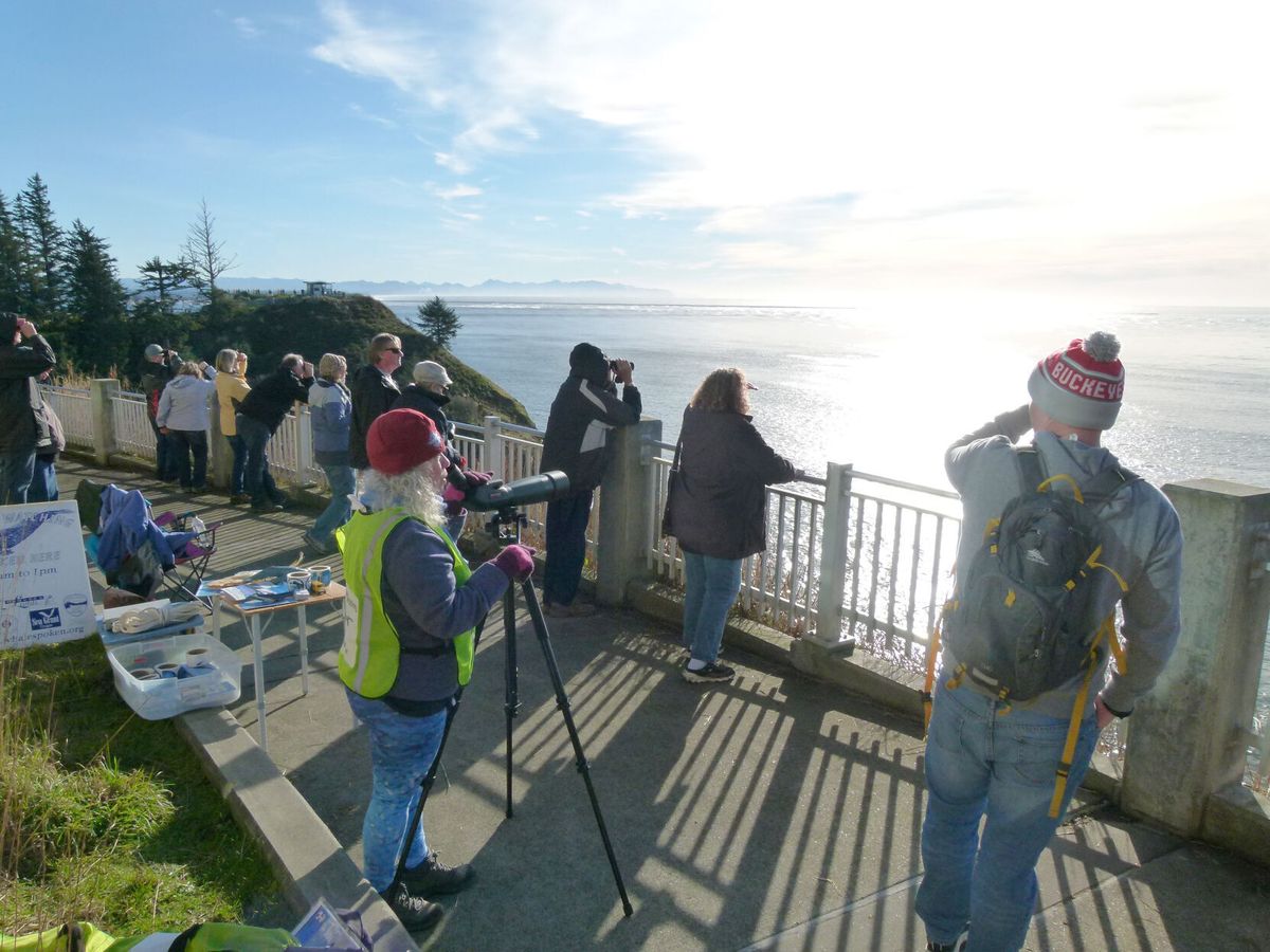 Whale Watch Week to start December 28 despite blustery weather
