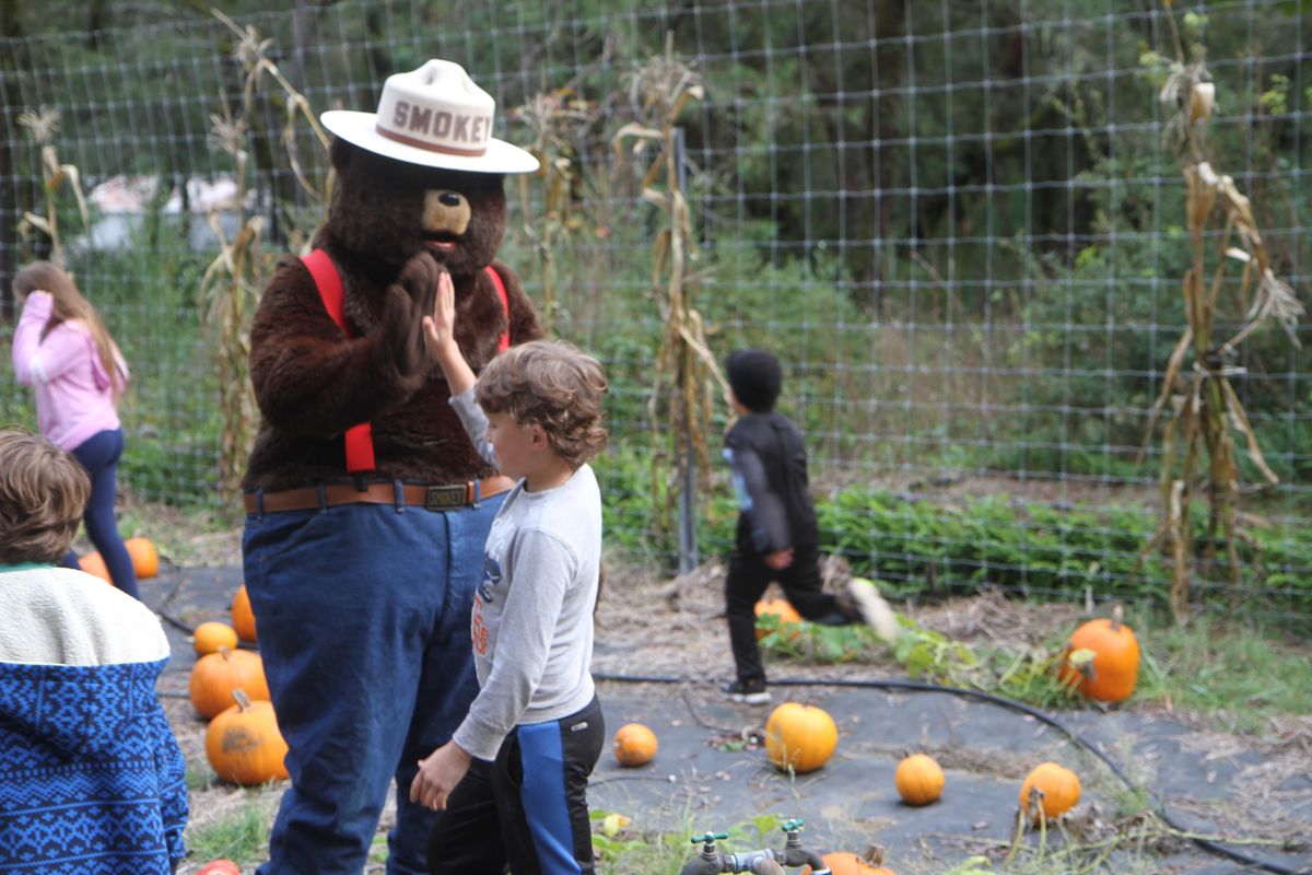 Smokey and the pumpkins