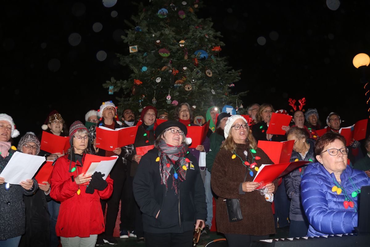 Photos: Hundreds of people line the street to watch Crescent City's Christmas Parade and Tree Lighting