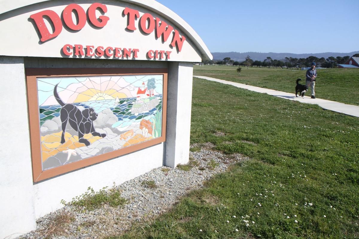 City loosens up: Dog park opens, some events resume