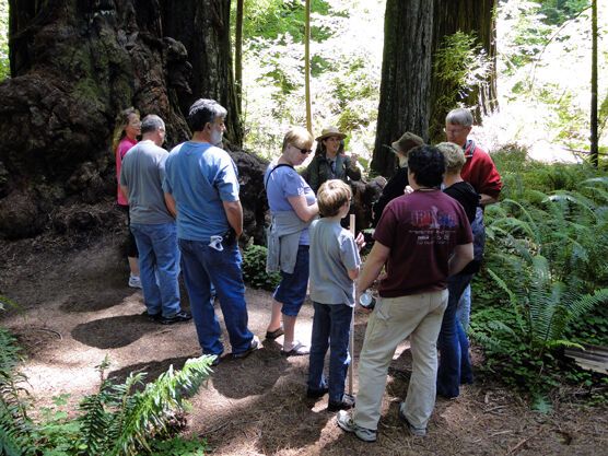 National Parks Huge Impact on Del Norte
