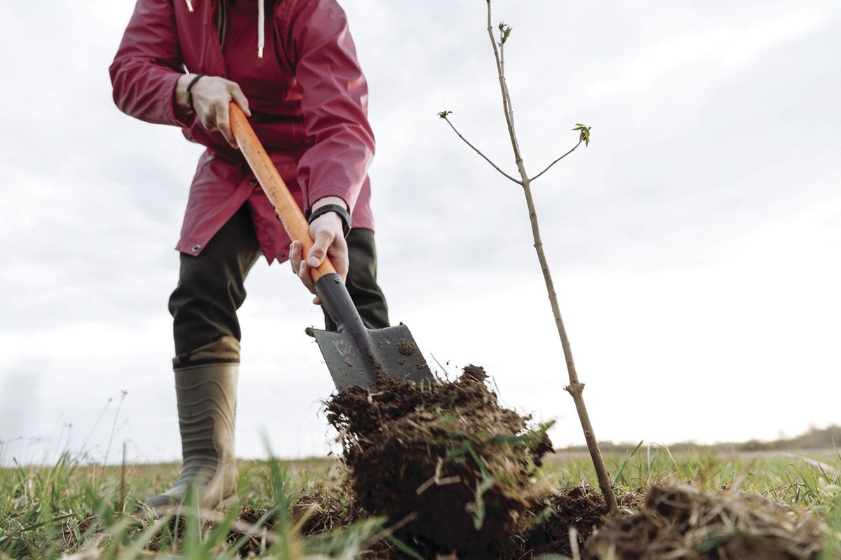 Tips for a safe fall season at home