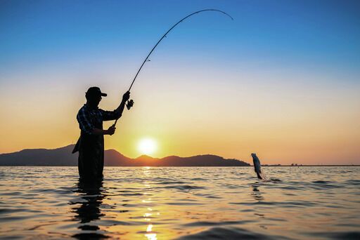 Fishing licenses available for sale