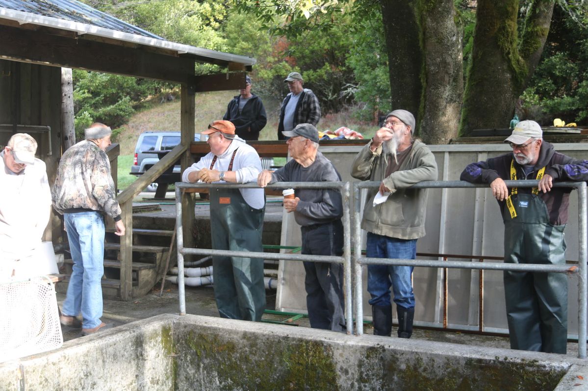 Photos / Outdoors: Oregon’s oldest (maybe) fish hatchery still going strong