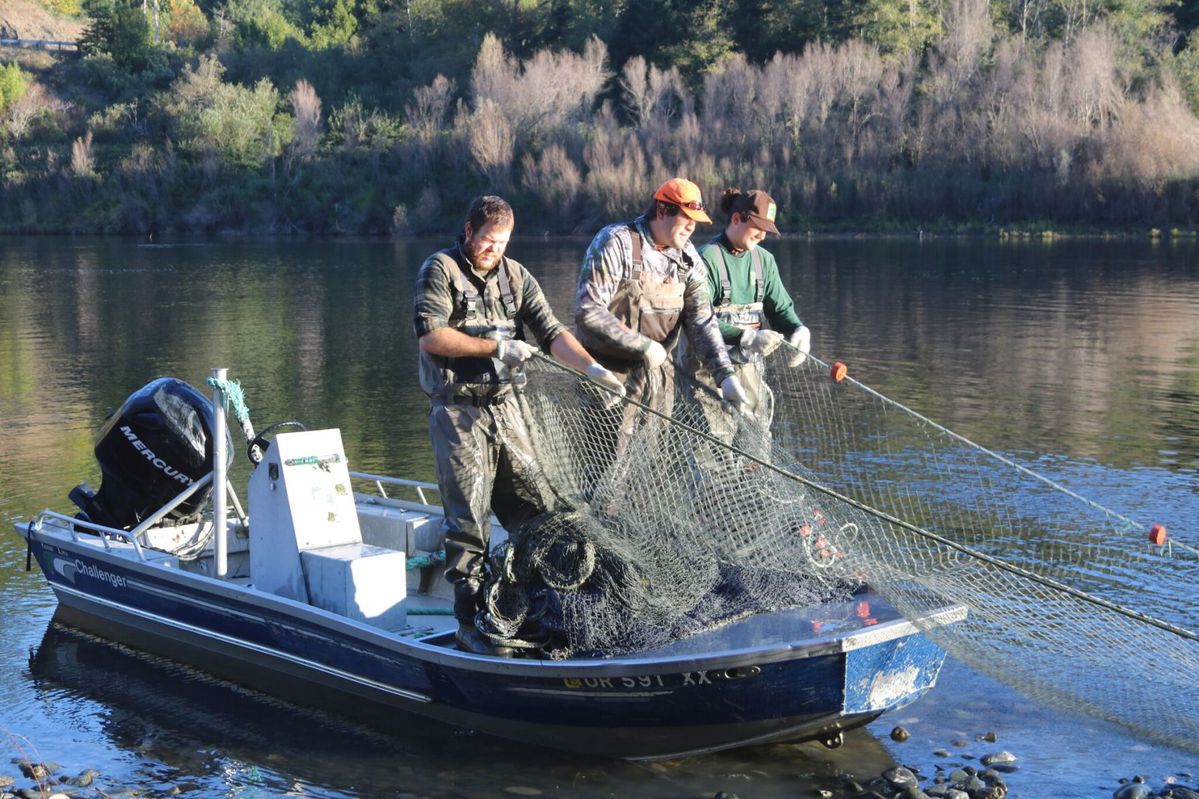 Environment: What seining the rivers can tell us
