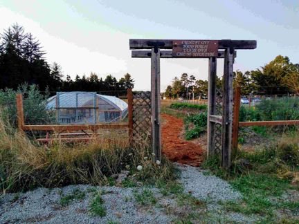 Food forest features grand opening and harvest festival on Sept. 28