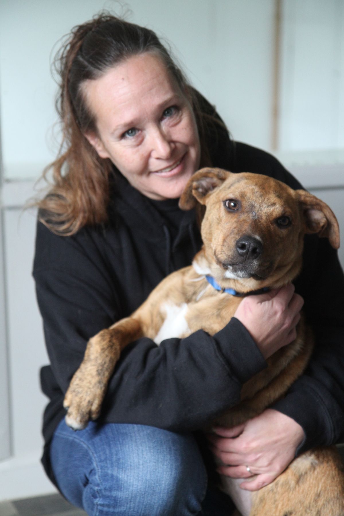 Camp Barry fostering new lives for puppies