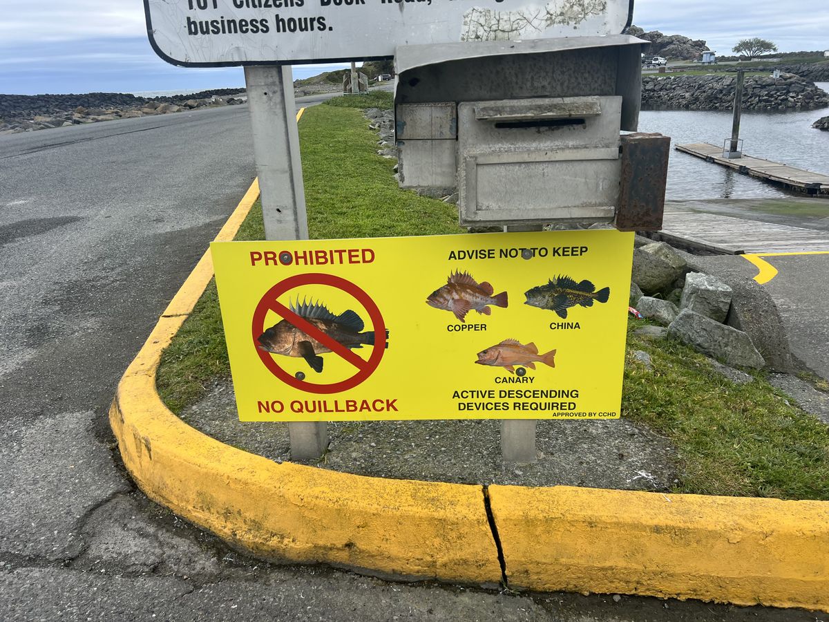 Fishing group offers helpful hints on how to abide by new fishing rules this season