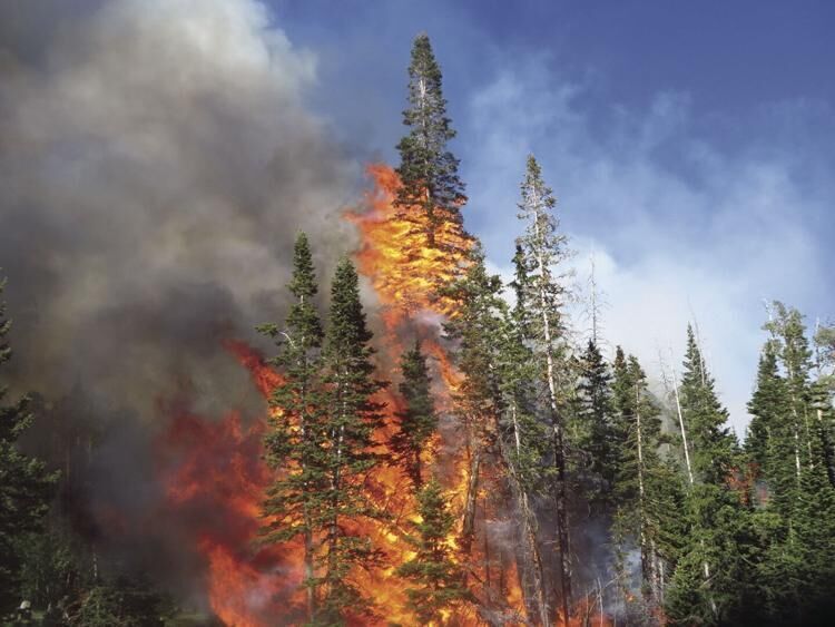 Wildfire Emergency Act: New congressional legislation