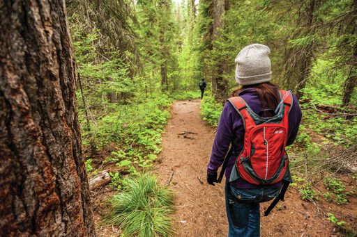 Recreate responsibly on national forests