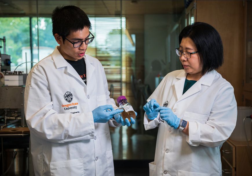 New Research: Making Wastewater Usable for Irrigation