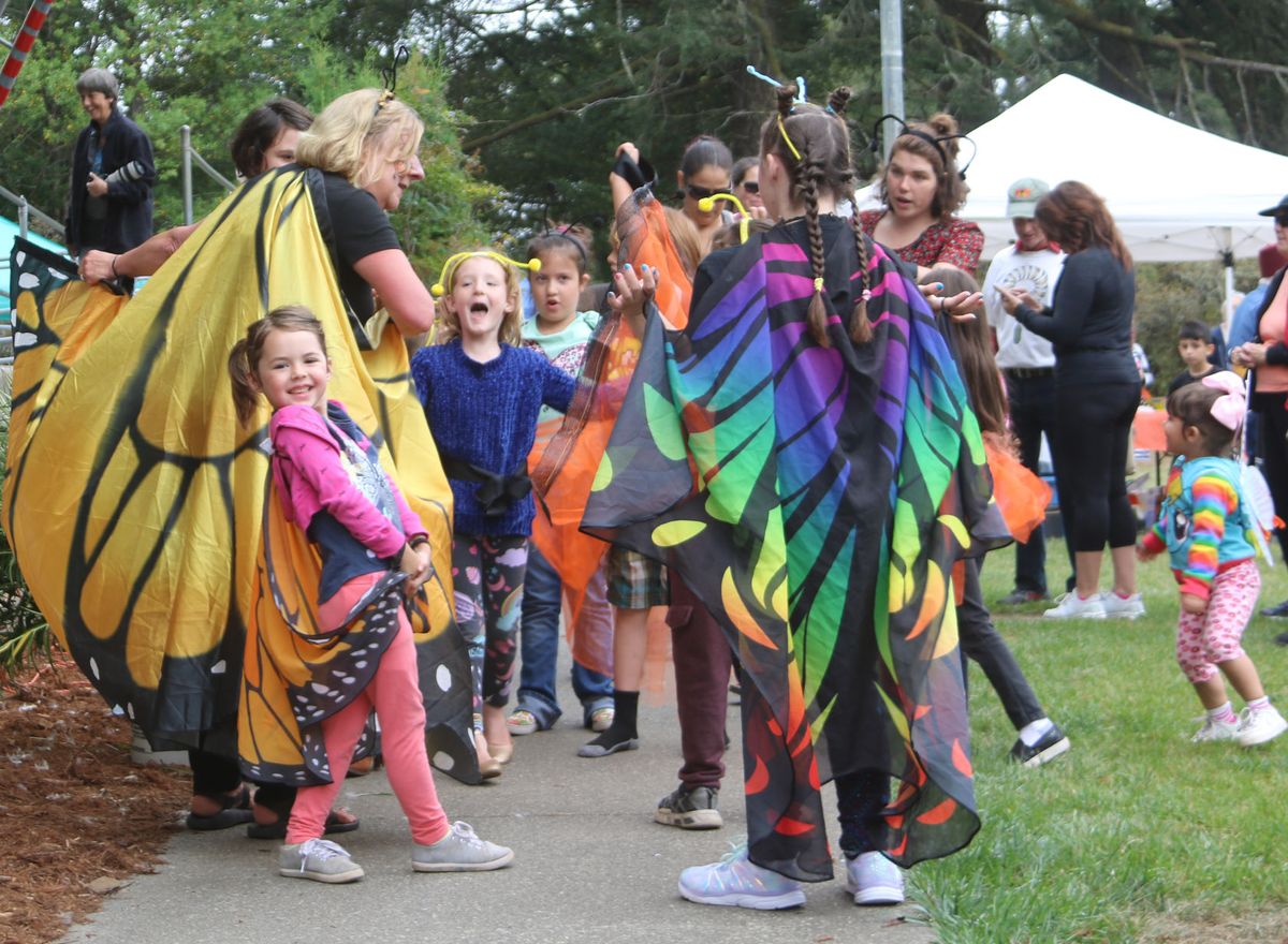 Photos / Butterflies: All smiles, excitement at butterfly fest