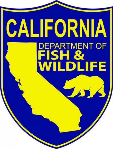 Del Norte Razor Clam Fishery Opens Under Health Advisory