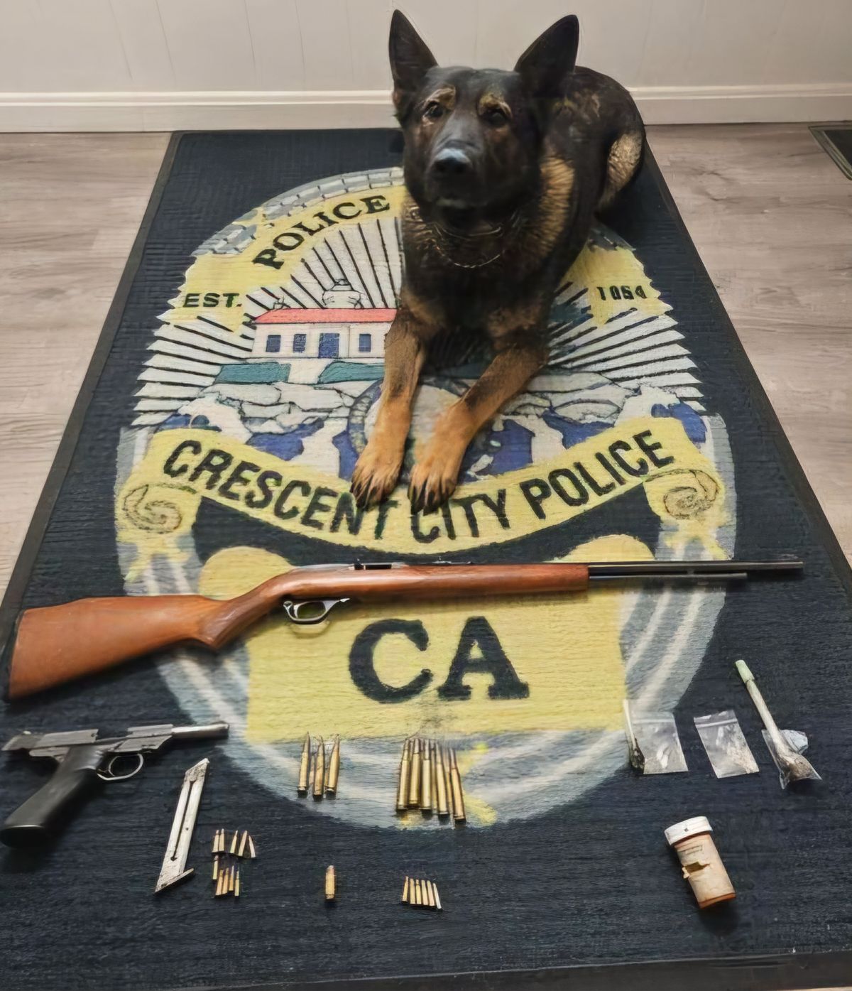 CCPD Arrests Man for Guns and Drugs