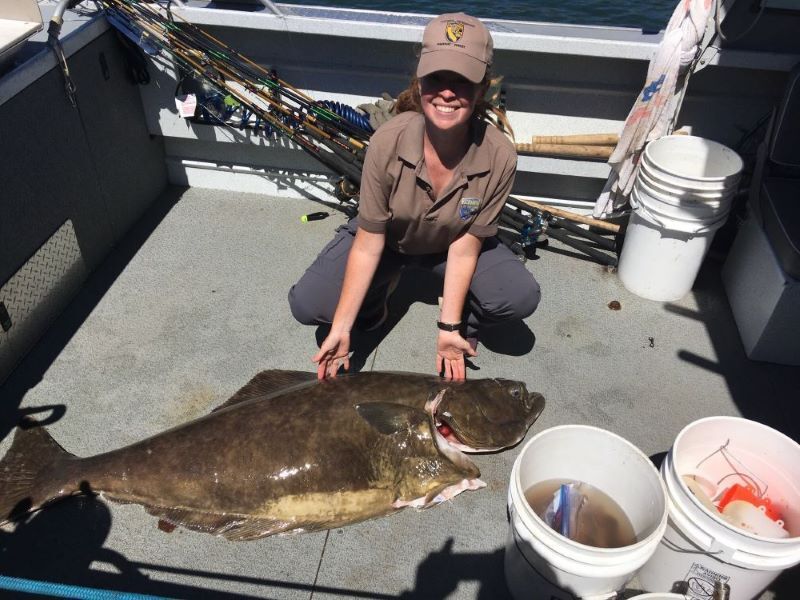 CDFW seeks input on pacific halibut fisheries