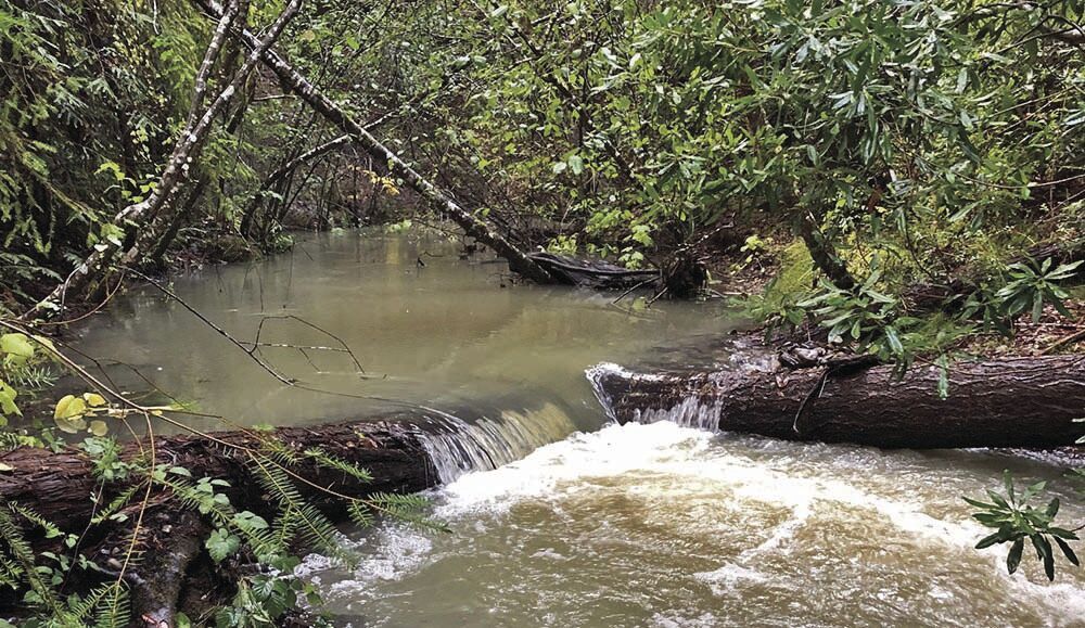 CDFW Awards $11 Million for Fisheries Habitat Restoration