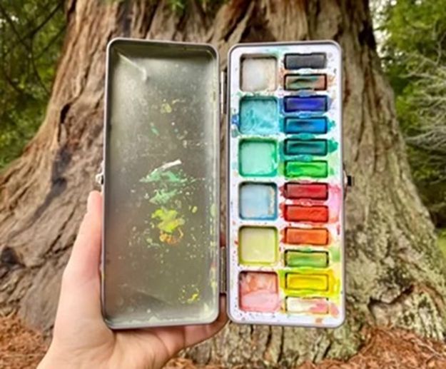 Calling All Artists: Redwood Residency