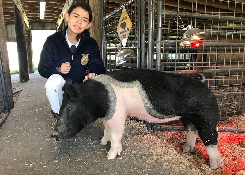Del Norte youth livestock sale Aug. 8