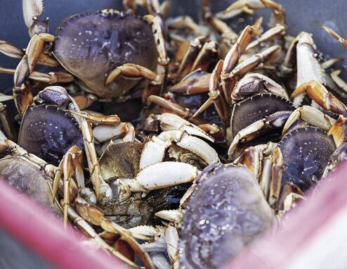 OSU leads effort to expand ocean oxygen monitoring sensor use in fishing industry