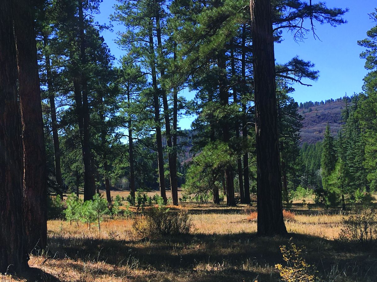 Writers on the Range: Land exchanges serve the wealthy