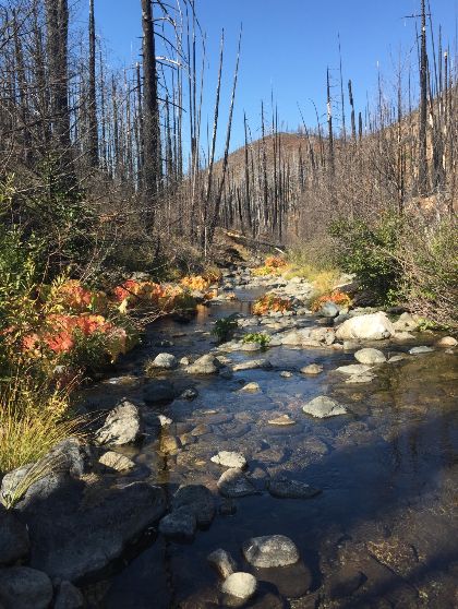 Public Ownership: Last private in-holding in Kalmiopsis Wilderness transferred