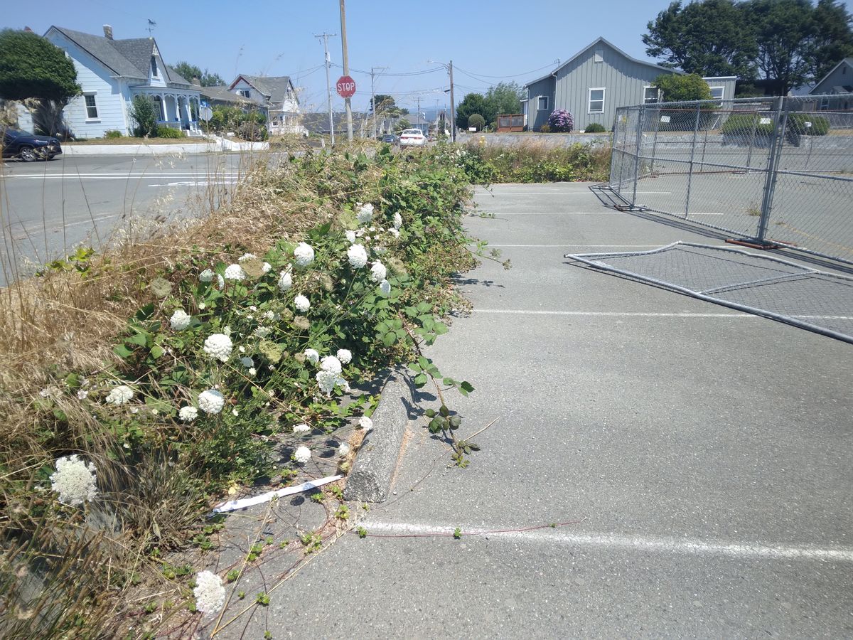 Abatement on A Street to be finished soon