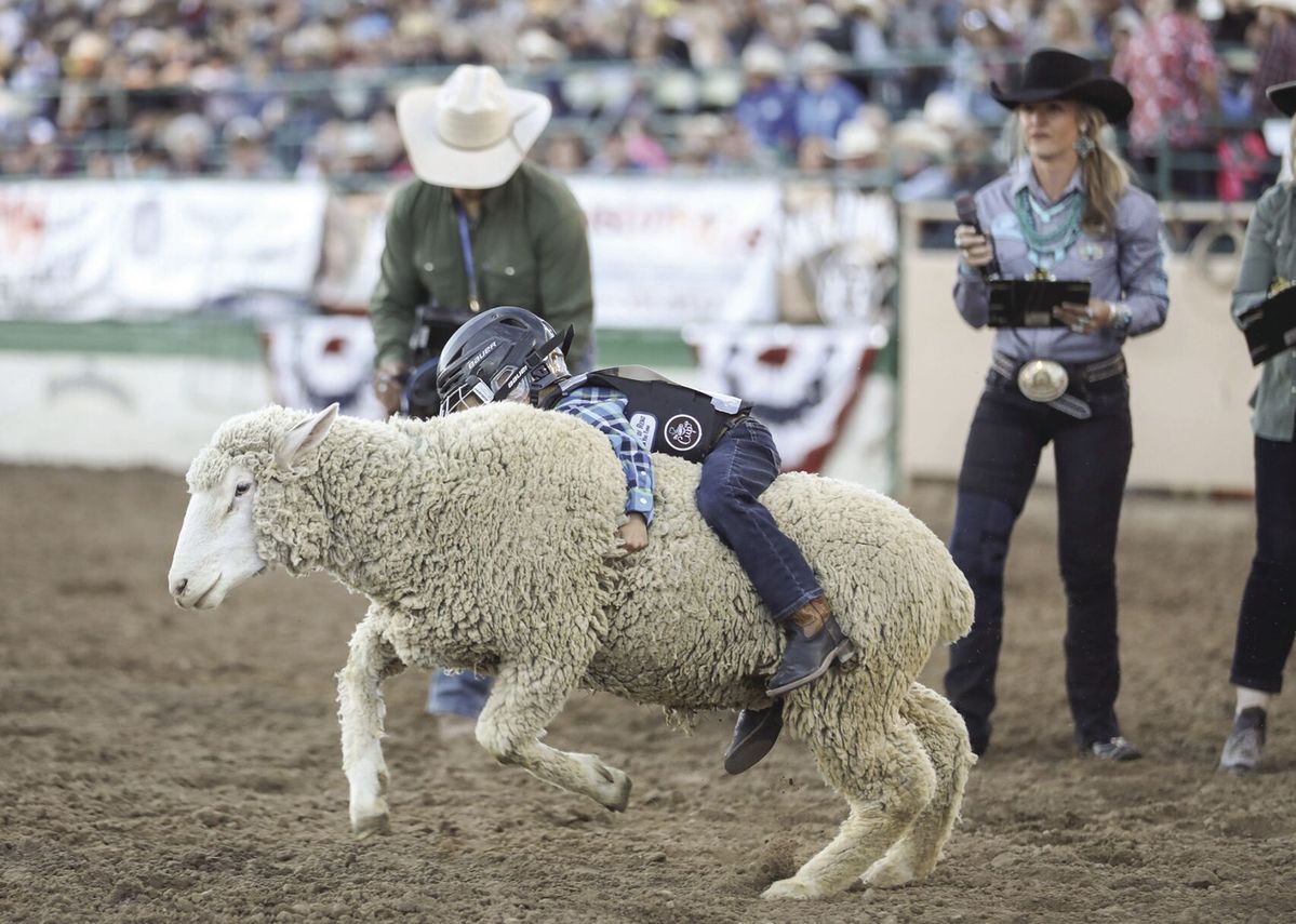 Writers on the Range: Tips for a new Westerner