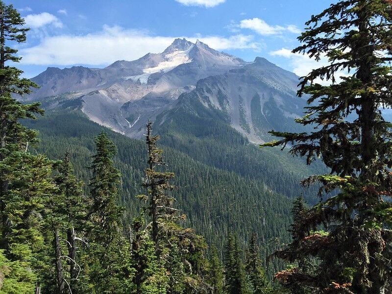 Scientists urge creating strategic forest reserves to mitigate climate change, protect biodiversity