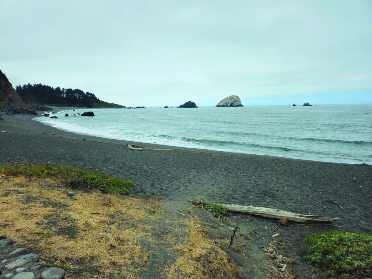 Great White Attacks Kayaker Off Klamath Beach