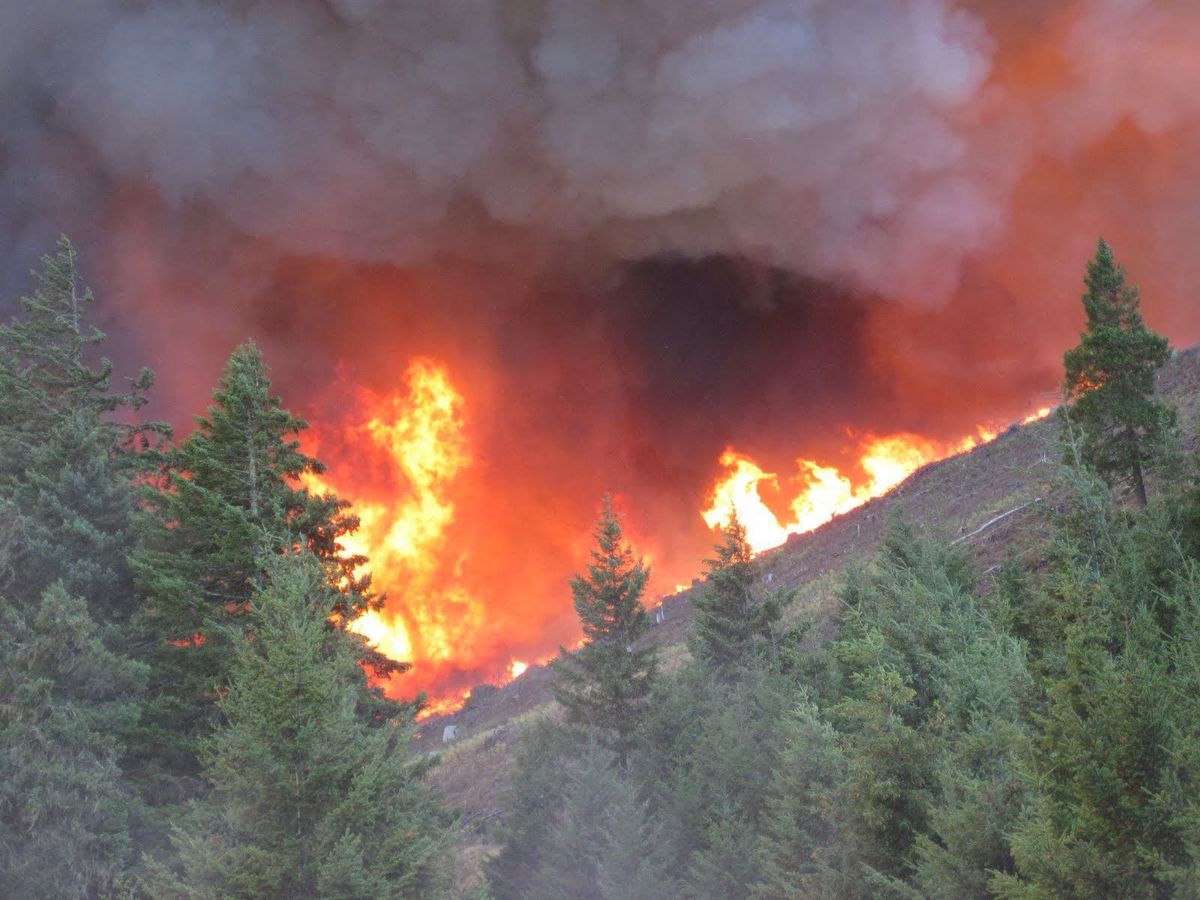 Protect the West Act: $60B to reduce wildfire risk proposed