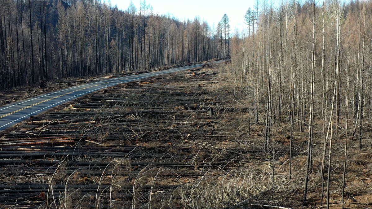 ‘Massive-scale mobilization’ necessary for addressing climate change, scientists say