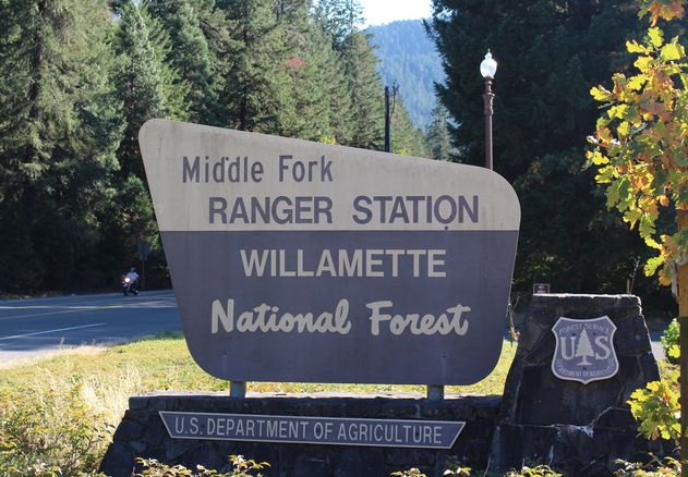 Forest Service to release Draft Environmental Impact Statement for Northwest Forest Plan Amendment