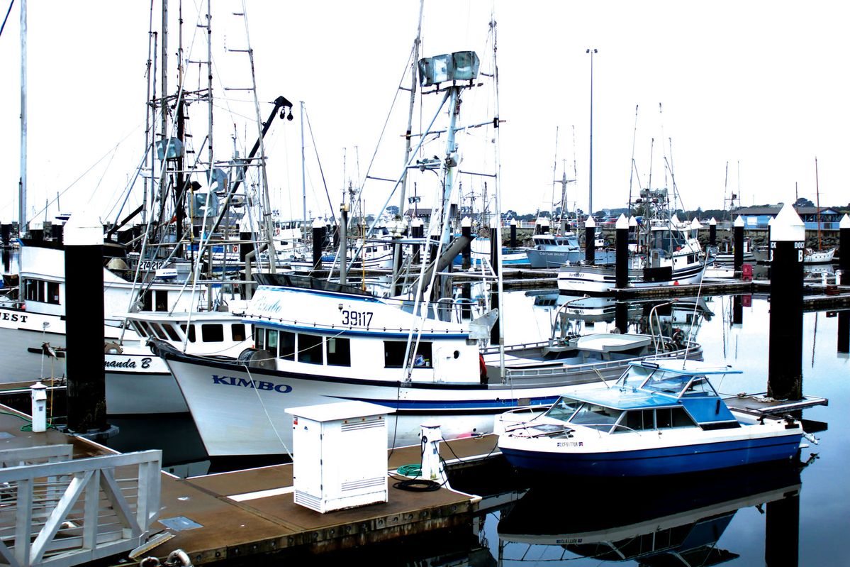 Salmon avoid south Oregon Coast